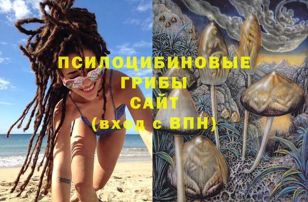 спайс Вяземский