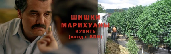 мяу мяу мука Вязьма