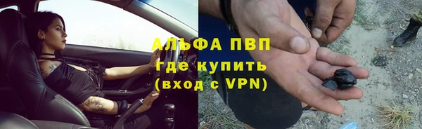 спайс Вяземский