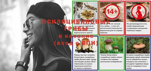 мяу мяу мука Вязьма